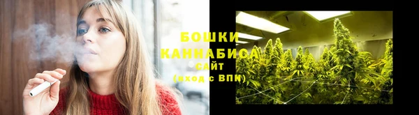 стаф Белоозёрский